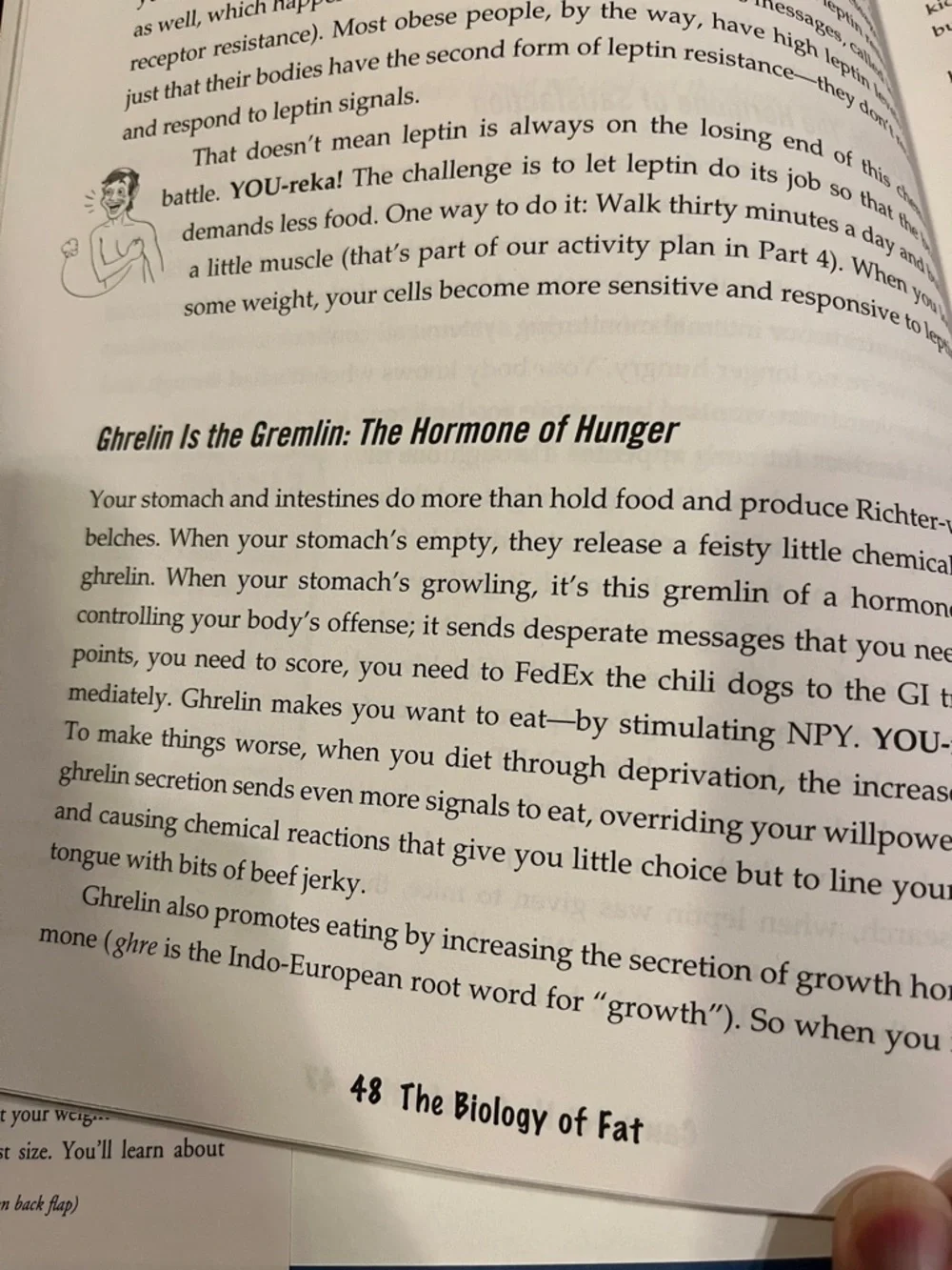 free press YOU On a Diet Cookbook - Yellow, Blue, Red